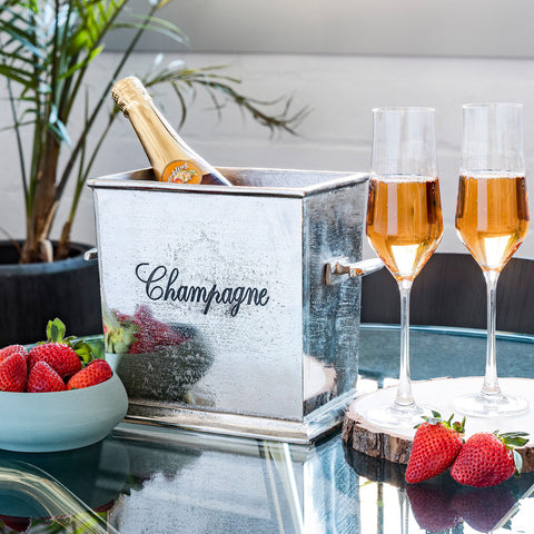 Image of Champagne Ice Bucket Chiller with Handles