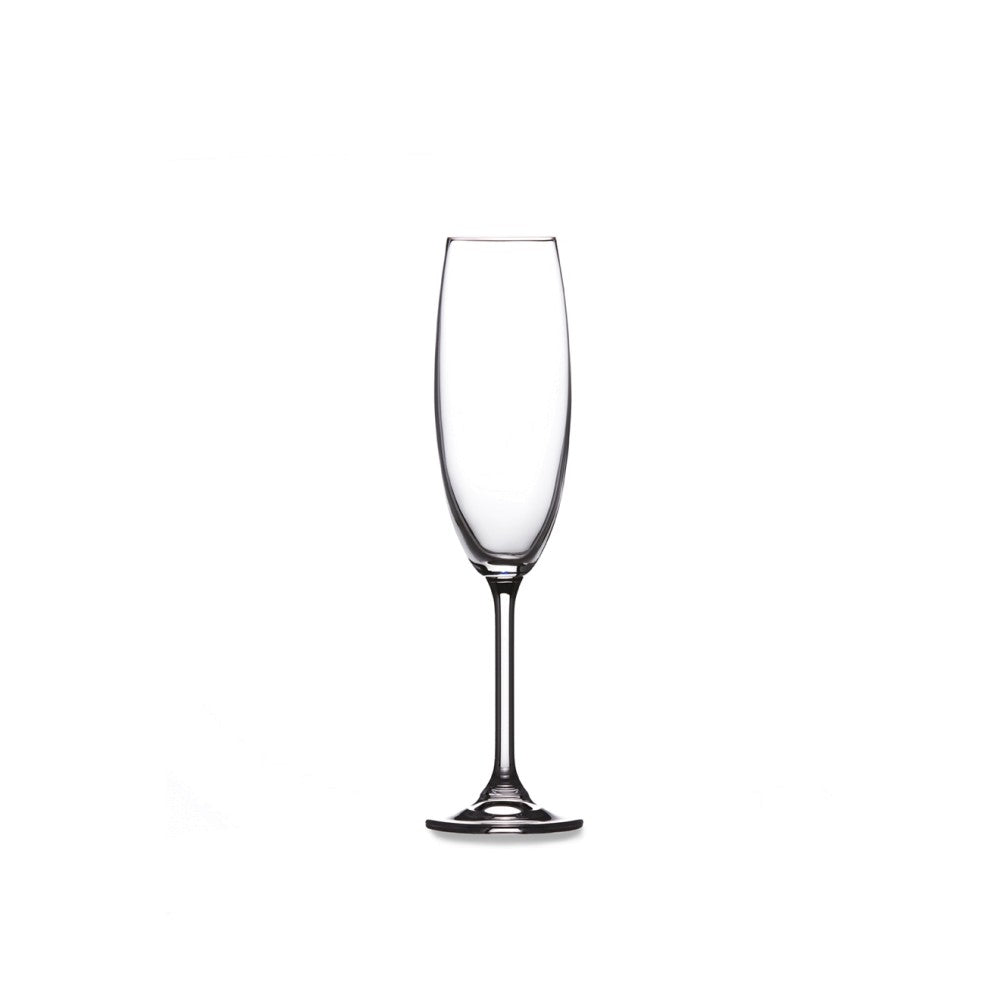 Matte Black & Gold Plated Design 8 oz Stemmed Champagne Flute Glasses, Set  of 6