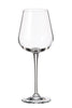 Crystalite Bohemia - Amundsen White Wine Glass 11oz. (330ml) Set of 6