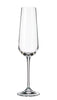 Crystalite Bohemia - Amundsen Champagne Flute Glass 7oz. (220ml) Set of 6