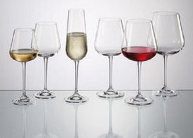 Crystalite Bohemia - Amundsen Champagne Flute Glass 7oz. (220ml) Set of 6