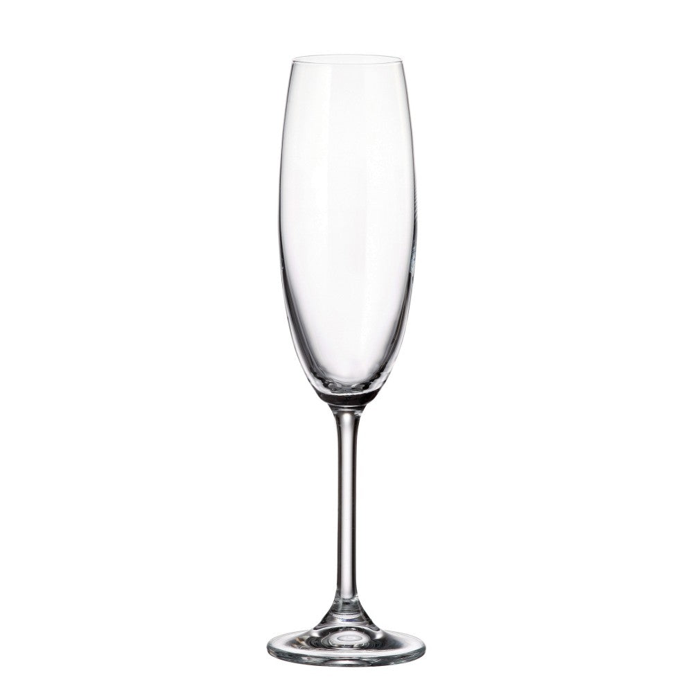 Champagne Glass White 4 pcs - Newport