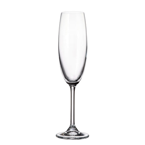 Image of Gastro Champagne Flutes,  Set of 6, 7.5 Ounces